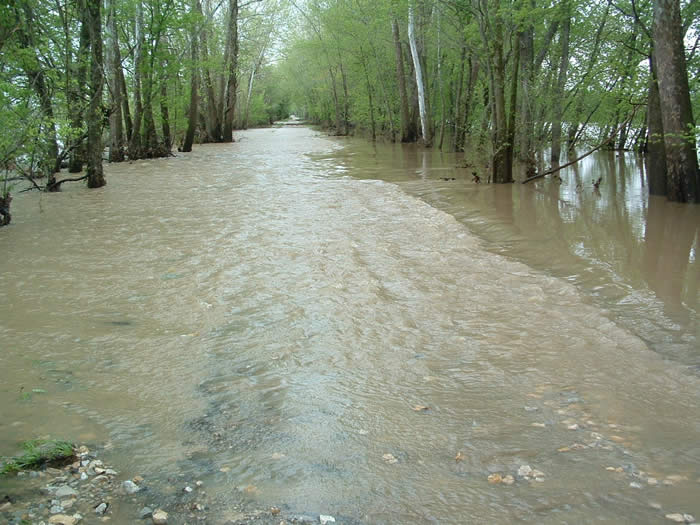 MKT trail flooding