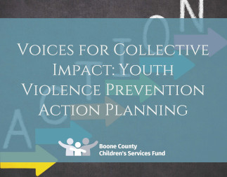 Voices for Collective Impact: Youth Violence Prevention